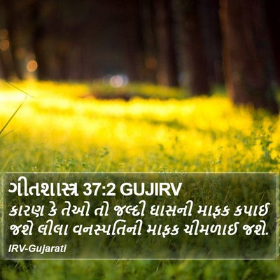 ગીતશાસ્ત્ર 37:2 GUJIRV Bible Verse Image