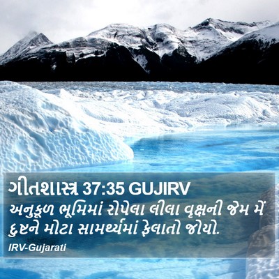 ગીતશાસ્ત્ર 37:35 GUJIRV Bible Verse Image
