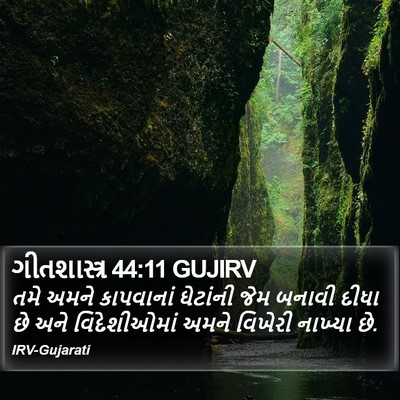 ગીતશાસ્ત્ર 44:11 GUJIRV Bible Verse Image