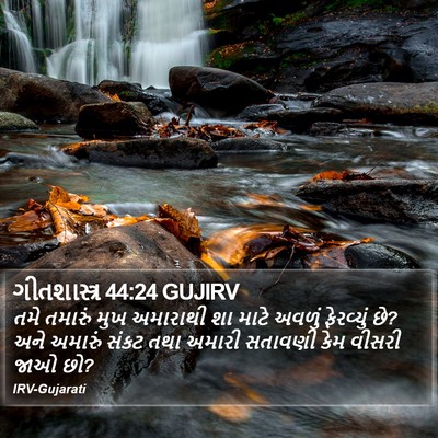 ગીતશાસ્ત્ર 44:24 GUJIRV Bible Verse Image