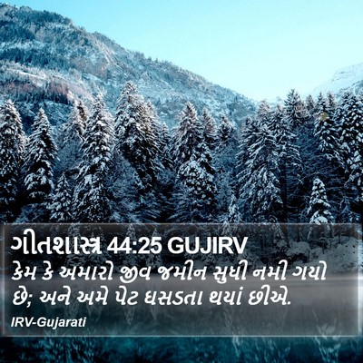 ગીતશાસ્ત્ર 44:25 GUJIRV Bible Verse Image