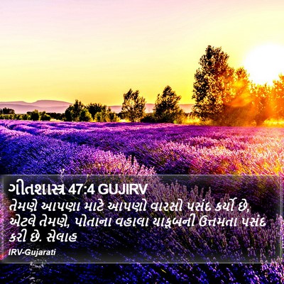 ગીતશાસ્ત્ર 47:4 GUJIRV Bible Verse Image