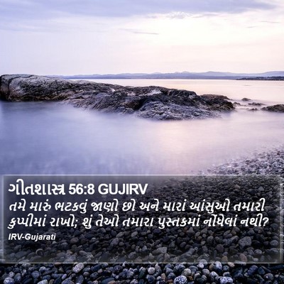 ગીતશાસ્ત્ર 56:8 GUJIRV Bible Verse Image