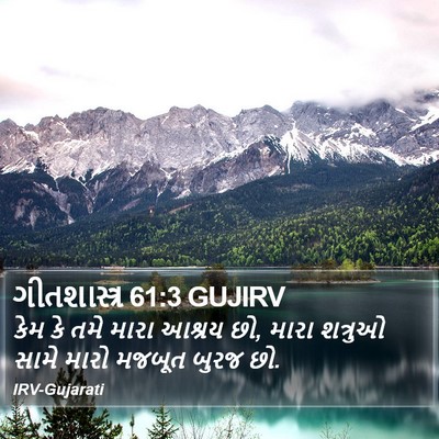 ગીતશાસ્ત્ર 61:3 GUJIRV Bible Verse Image
