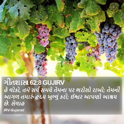 ગીતશાસ્ત્ર 62:8 GUJIRV Bible Verse Image