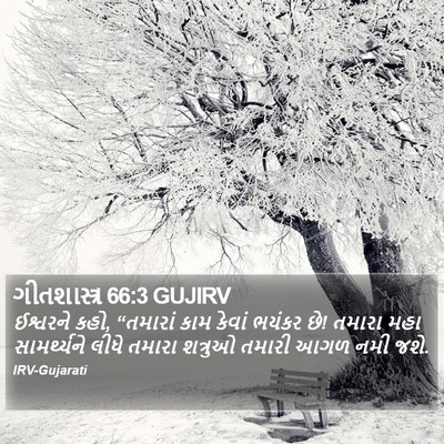 ગીતશાસ્ત્ર 66:3 GUJIRV Bible Verse Image