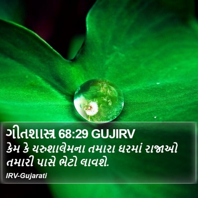 ગીતશાસ્ત્ર 68:29 GUJIRV Bible Verse Image