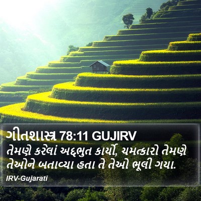 ગીતશાસ્ત્ર 78:11 GUJIRV Bible Verse Image
