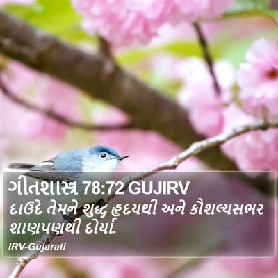 ગીતશાસ્ત્ર 78:72 GUJIRV Bible Verse Image