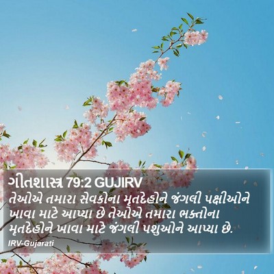 ગીતશાસ્ત્ર 79:2 GUJIRV Bible Verse Image