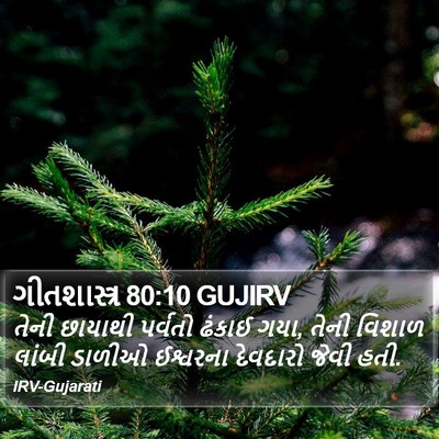 ગીતશાસ્ત્ર 80:10 GUJIRV Bible Verse Image