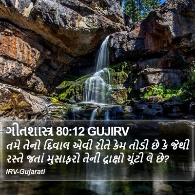 ગીતશાસ્ત્ર 80:12 GUJIRV Bible Verse Image