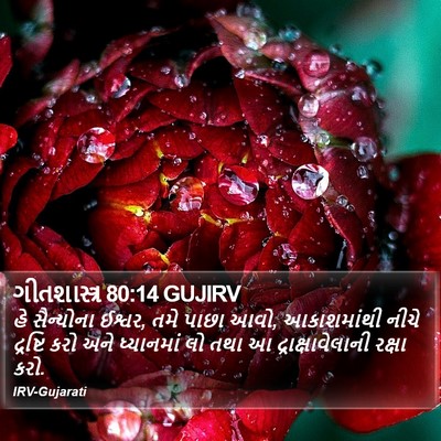 ગીતશાસ્ત્ર 80:14 GUJIRV Bible Verse Image