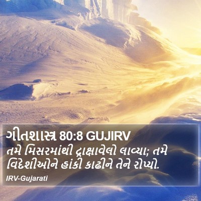 ગીતશાસ્ત્ર 80:8 GUJIRV Bible Verse Image