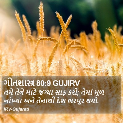 ગીતશાસ્ત્ર 80:9 GUJIRV Bible Verse Image