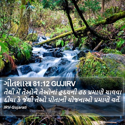 ગીતશાસ્ત્ર 81:12 GUJIRV Bible Verse Image