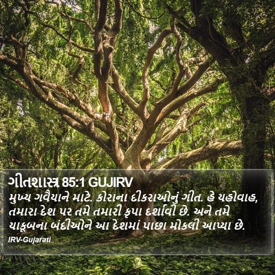 ગીતશાસ્ત્ર 85:1 GUJIRV Bible Verse Image