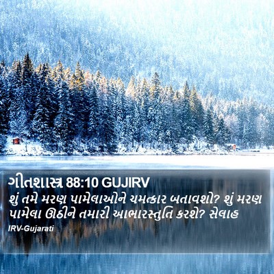 ગીતશાસ્ત્ર 88:10 GUJIRV Bible Verse Image