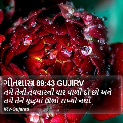 ગીતશાસ્ત્ર 89:43 GUJIRV Bible Verse Image