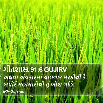 ગીતશાસ્ત્ર 91:6 GUJIRV Bible Verse Image