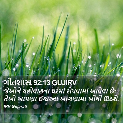 ગીતશાસ્ત્ર 92:13 GUJIRV Bible Verse Image