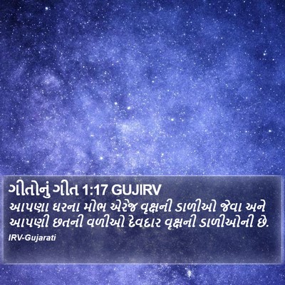 ગીતોનું ગીત 1:17 GUJIRV Bible Verse Image
