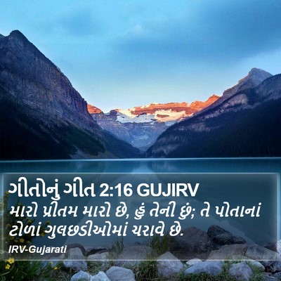 ગીતોનું ગીત 2:16 GUJIRV Bible Verse Image