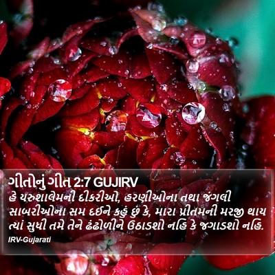 ગીતોનું ગીત 2:7 GUJIRV Bible Verse Image
