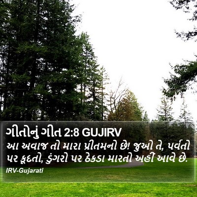 ગીતોનું ગીત 2:8 GUJIRV Bible Verse Image