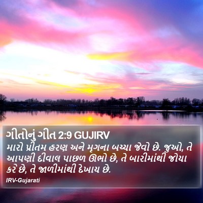 ગીતોનું ગીત 2:9 GUJIRV Bible Verse Image