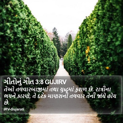 ગીતોનું ગીત 3:8 GUJIRV Bible Verse Image
