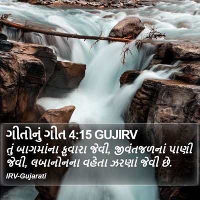 ગીતોનું ગીત 4:15 GUJIRV Bible Verse Image