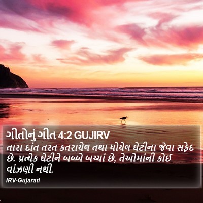 ગીતોનું ગીત 4:2 GUJIRV Bible Verse Image