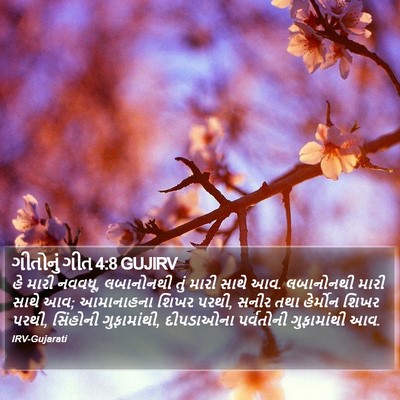 ગીતોનું ગીત 4:8 GUJIRV Bible Verse Image