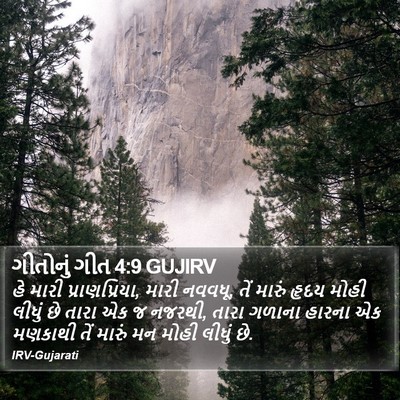 ગીતોનું ગીત 4:9 GUJIRV Bible Verse Image