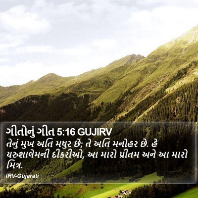 ગીતોનું ગીત 5:16 GUJIRV Bible Verse Image
