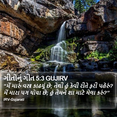 ગીતોનું ગીત 5:3 GUJIRV Bible Verse Image