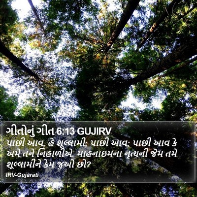 ગીતોનું ગીત 6:13 GUJIRV Bible Verse Image