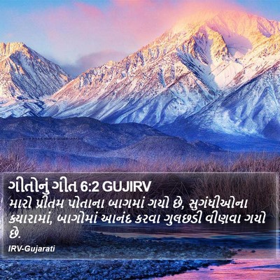 ગીતોનું ગીત 6:2 GUJIRV Bible Verse Image