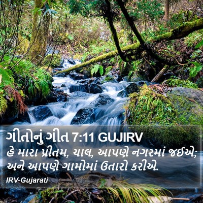 ગીતોનું ગીત 7:11 GUJIRV Bible Verse Image