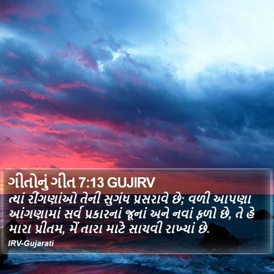 ગીતોનું ગીત 7:13 GUJIRV Bible Verse Image