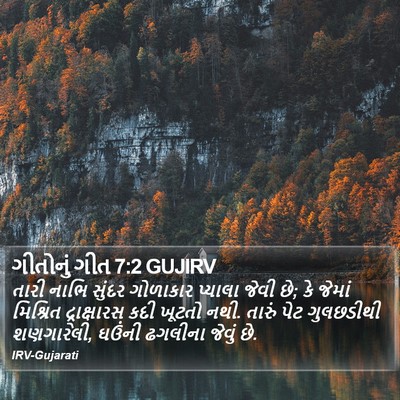 ગીતોનું ગીત 7:2 GUJIRV Bible Verse Image