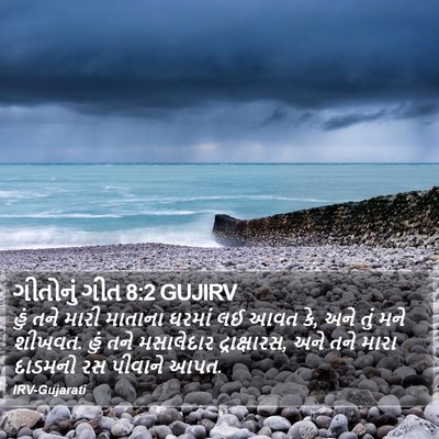 ગીતોનું ગીત 8:2 GUJIRV Bible Verse Image