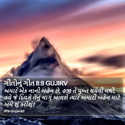 ગીતોનું ગીત 8:8 GUJIRV Bible Verse Image