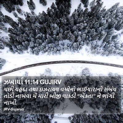 ઝખાર્યા 11:14 GUJIRV Bible Verse Image