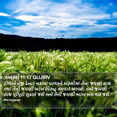 ઝખાર્યા 11:17 GUJIRV Bible Verse Image