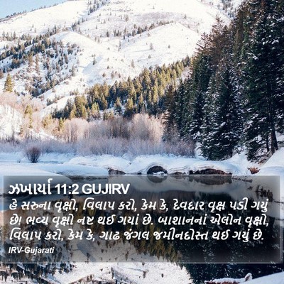 ઝખાર્યા 11:2 GUJIRV Bible Verse Image