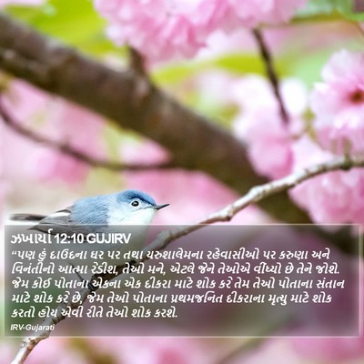 ઝખાર્યા 12:10 GUJIRV Bible Verse Image