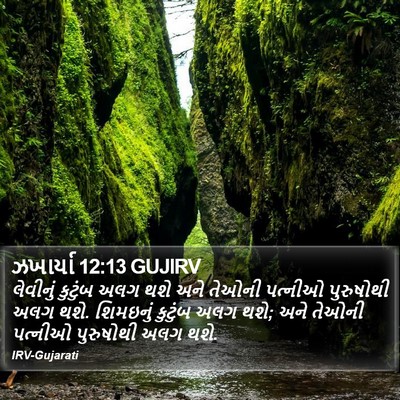 ઝખાર્યા 12:13 GUJIRV Bible Verse Image