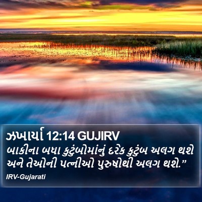 ઝખાર્યા 12:14 GUJIRV Bible Verse Image